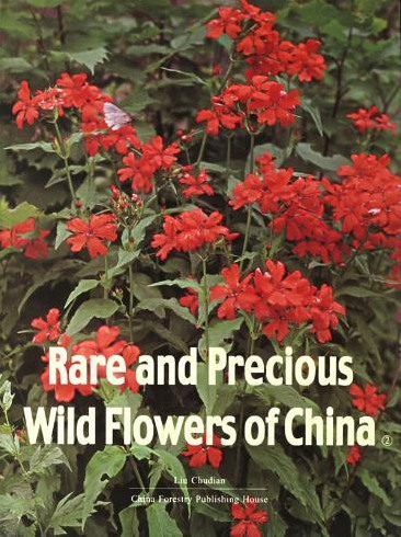 Rare And Precious Wild Flowers of China(2)